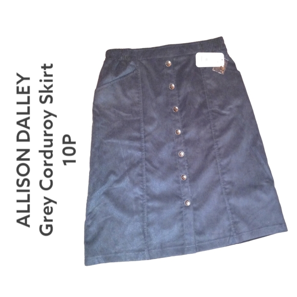 Allison Daley Dresses & Skirts - NWT Grey Corduroy Skirt Button Front Sz 10